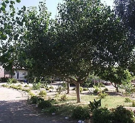 Grammeno Camping Luxuszelt Kountoura Selino