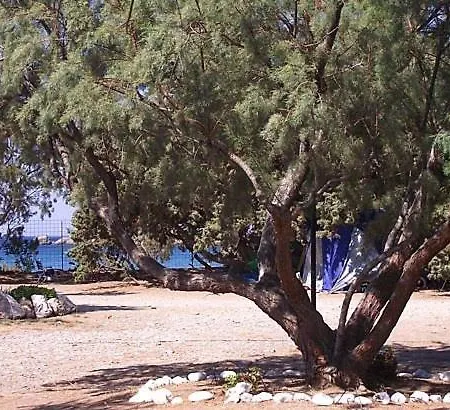 Grammeno Camping